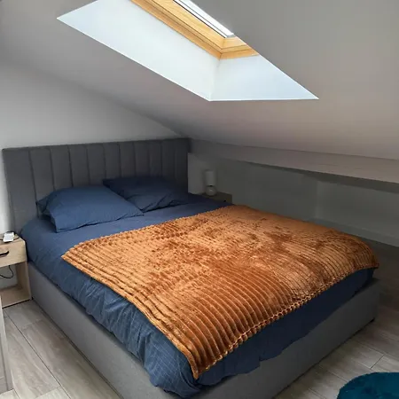 Longchamps 1 - Magnifique Appartement, 1 Sous Les Toits, Clim * Aix-les-Bains