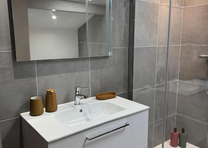 Longchamps 1 - Magnifique Appartement, 1 Sous Les Toits, Clim Aix-les-Bains