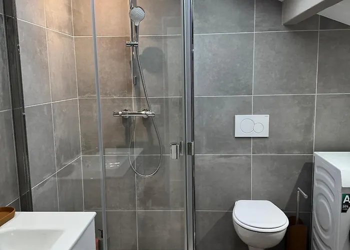 Longchamps 1 - Magnifique Appartement, 1 Sous Les Toits, Clim Aix-les-Bains